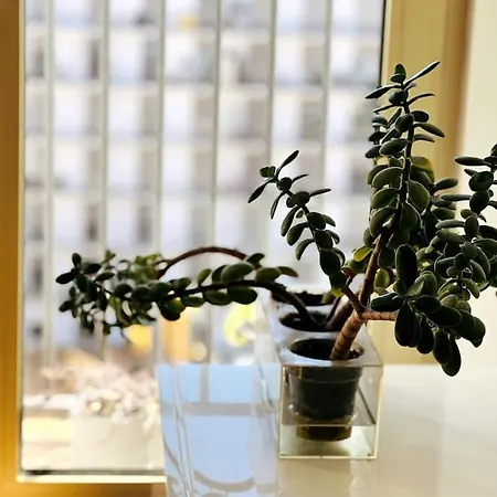 Апартаменты Charm Authentic Family