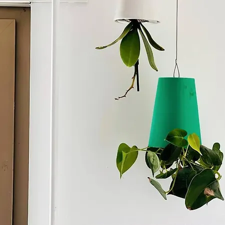 Apartmán Charm Authentic Family *